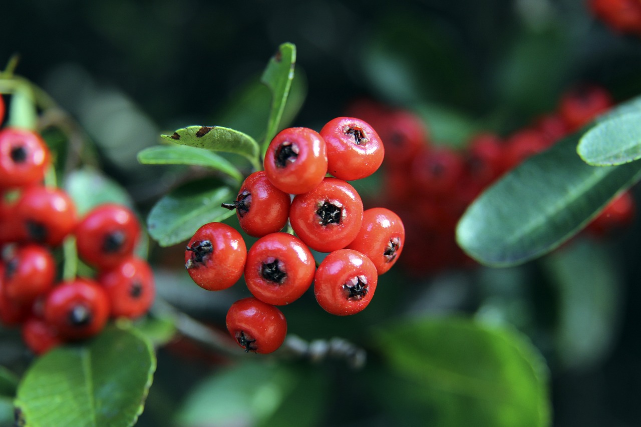 在赛季初期 在赛季初期