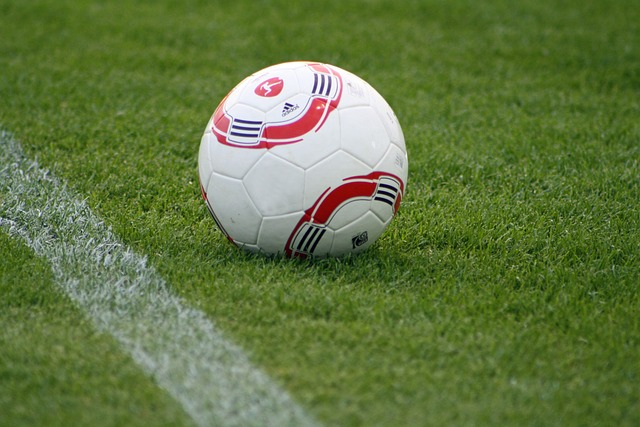 这一数字不 这一数字不