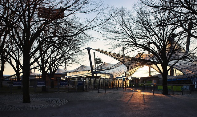 本赛季高效 本赛季高效