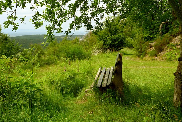 他们的优势 他们的优势