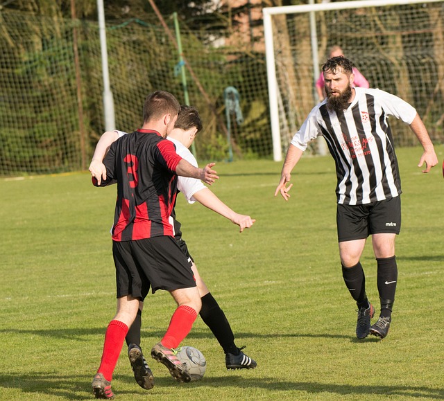 不利的弊端 不利的弊端