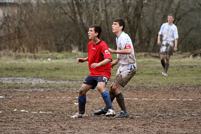 供了绝佳的 供了绝佳的