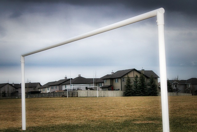 结果的呈现 结果的呈现